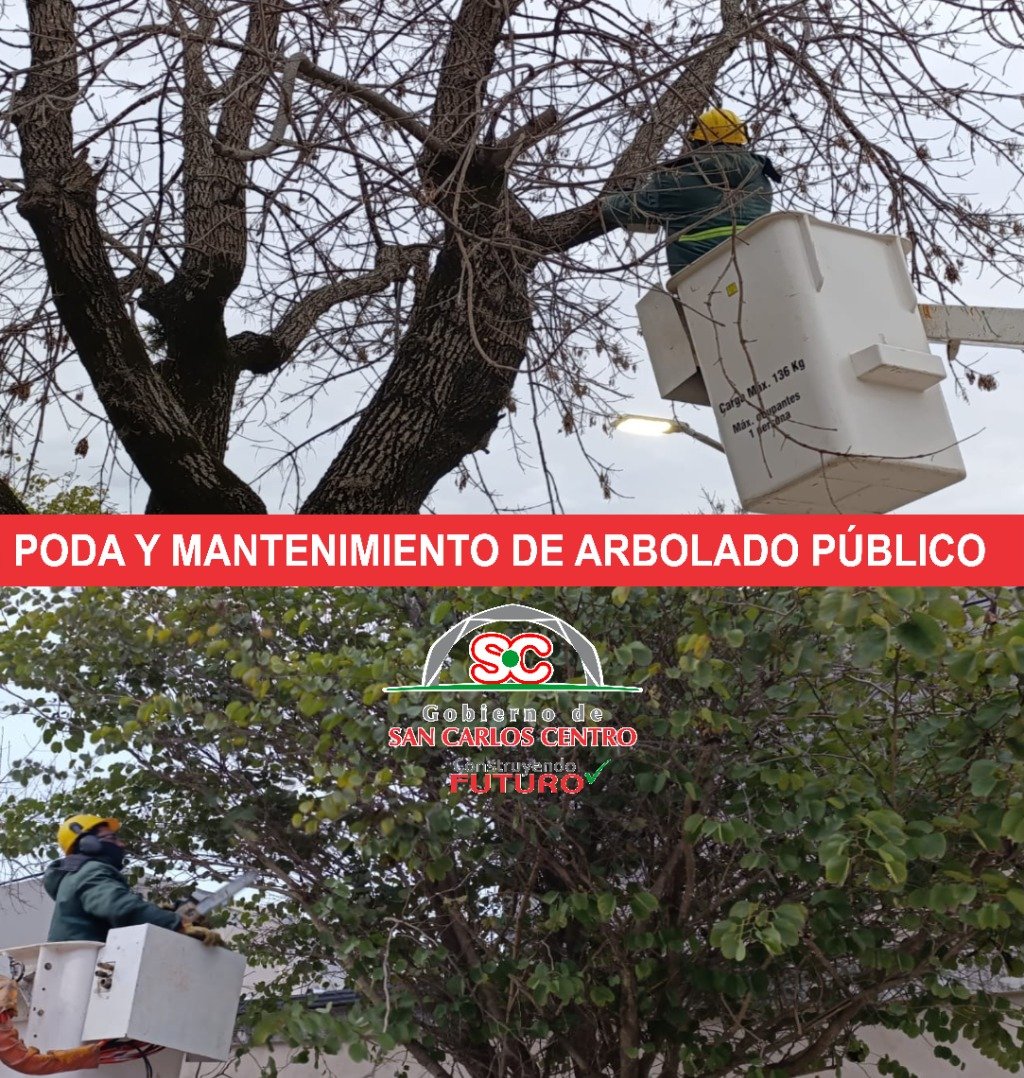 Parte 245-26.jpg