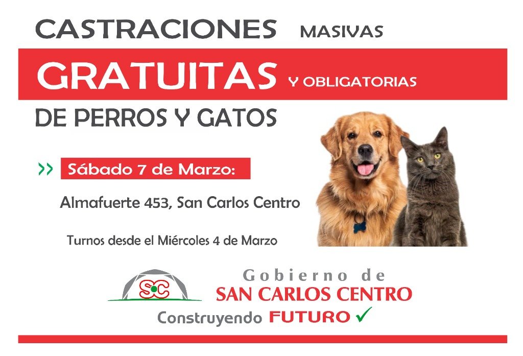 Castraciones 07-03.jpg