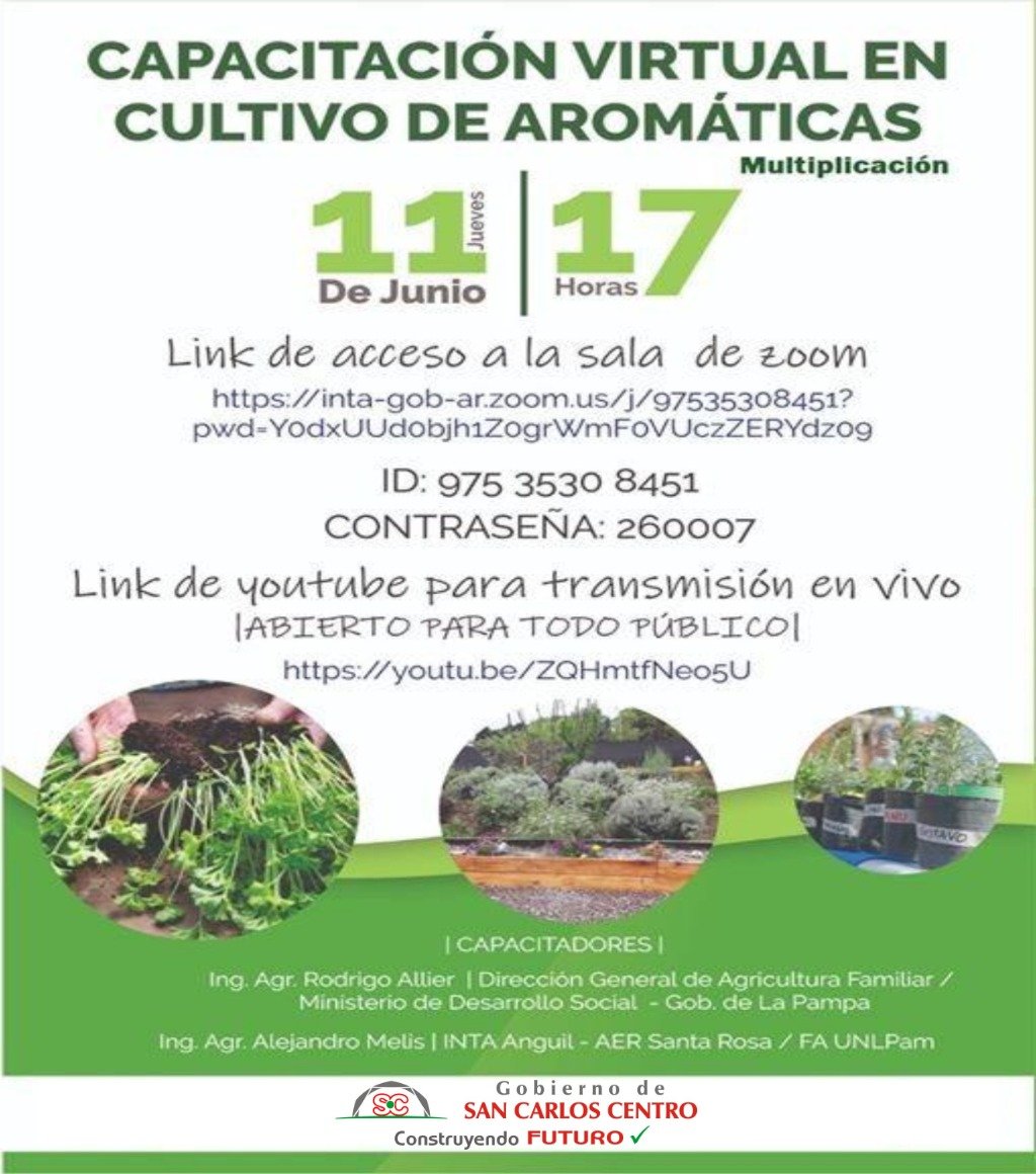 Parte 133-20.JPG