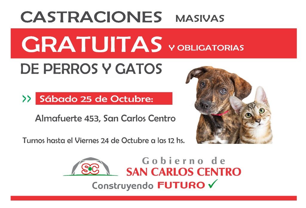 Parte 307-25 Horizontal.jpg