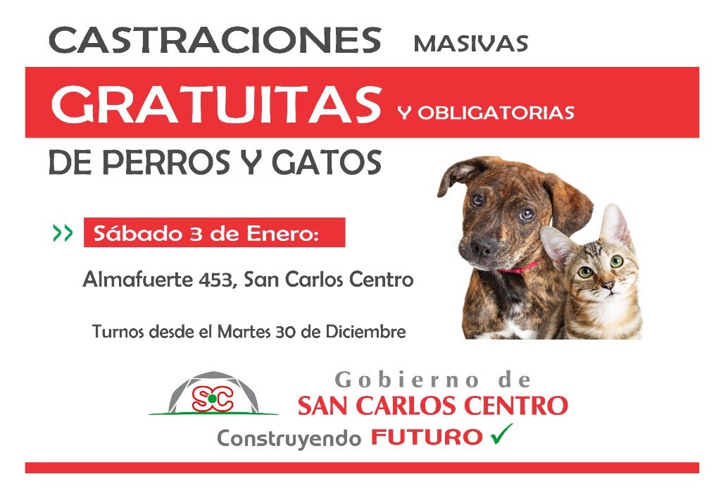 Parte 388-25 Horizontal.jpg